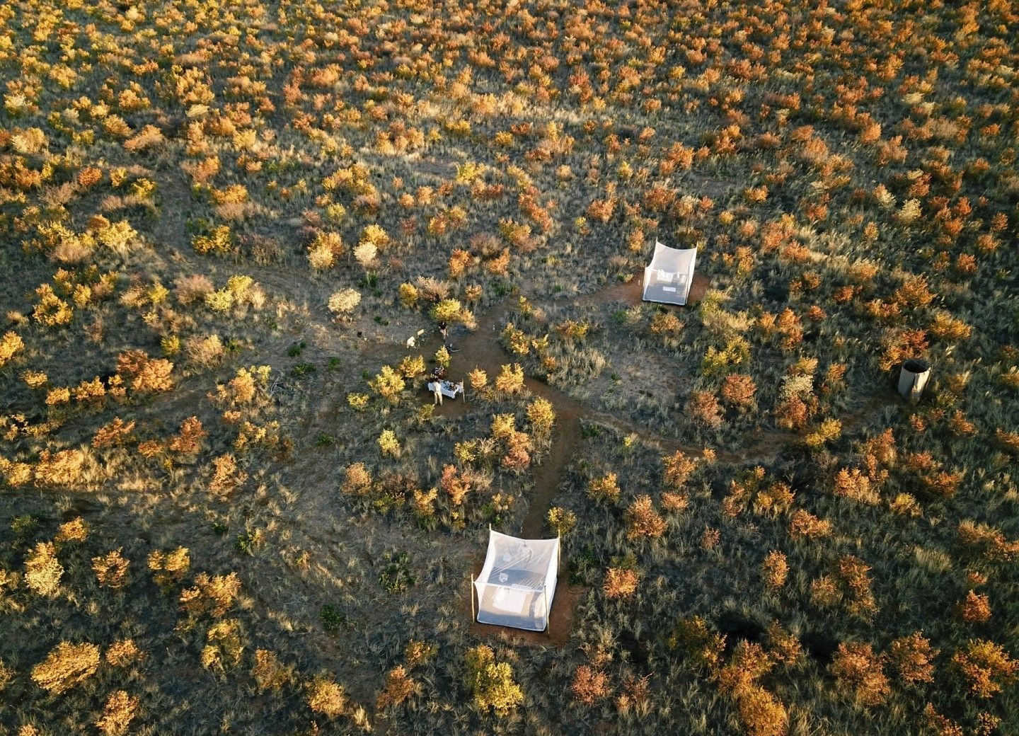 Feline Fields Bush Sleep Out