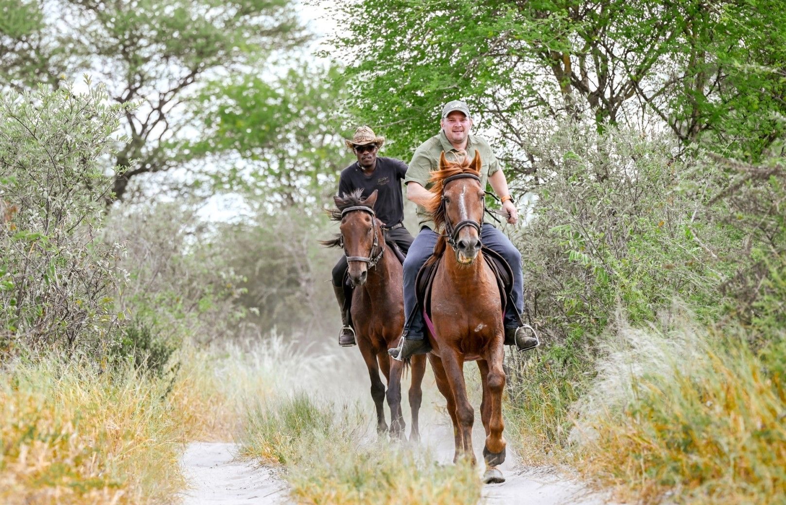 Feline Fields Horse ride