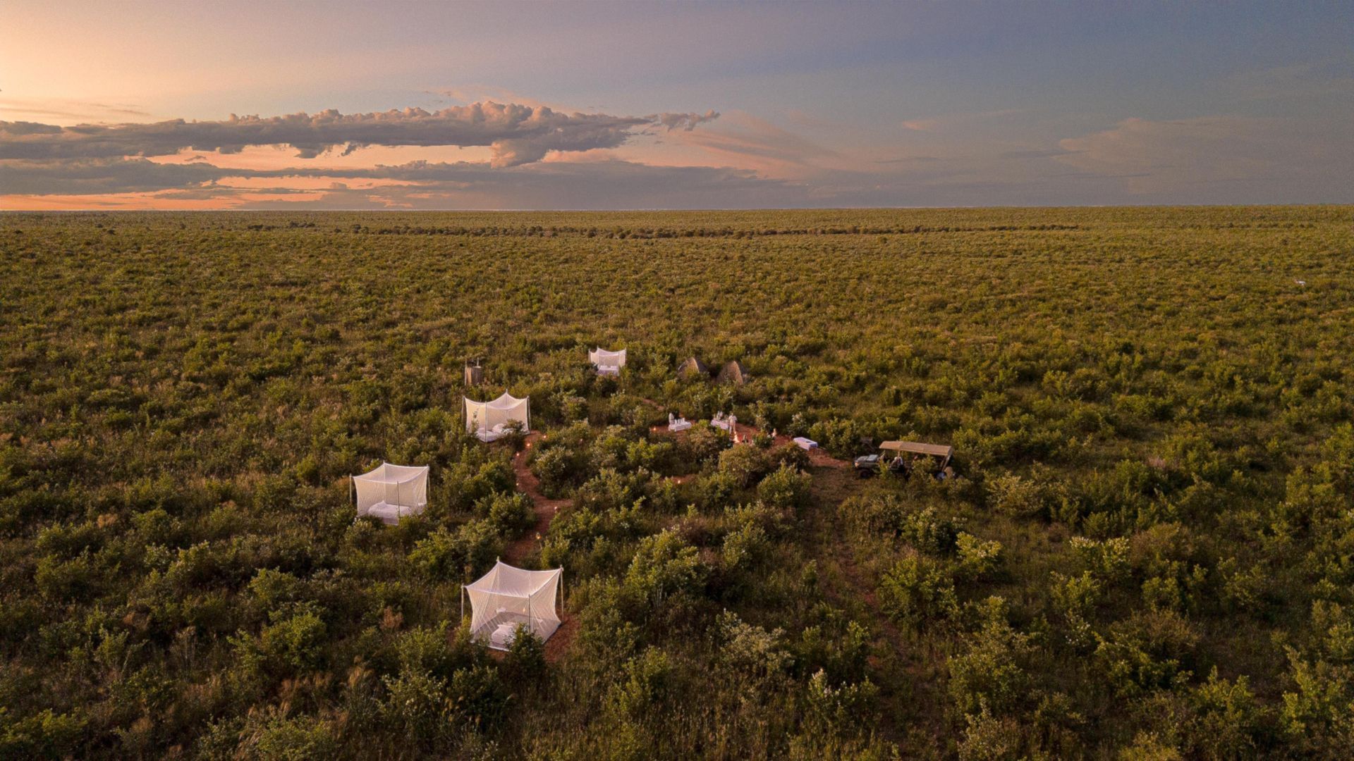 Feline Fields Bush Sleep Out