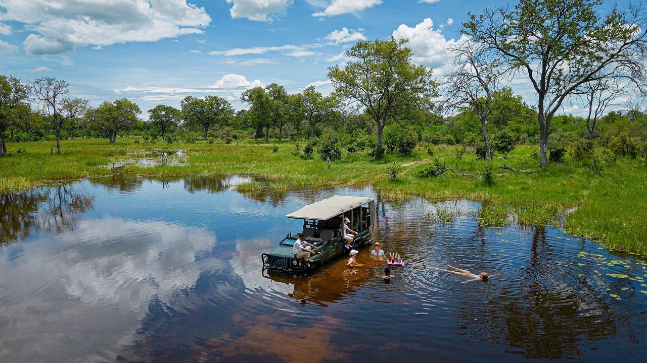 Feline Fields lagoon swimming
