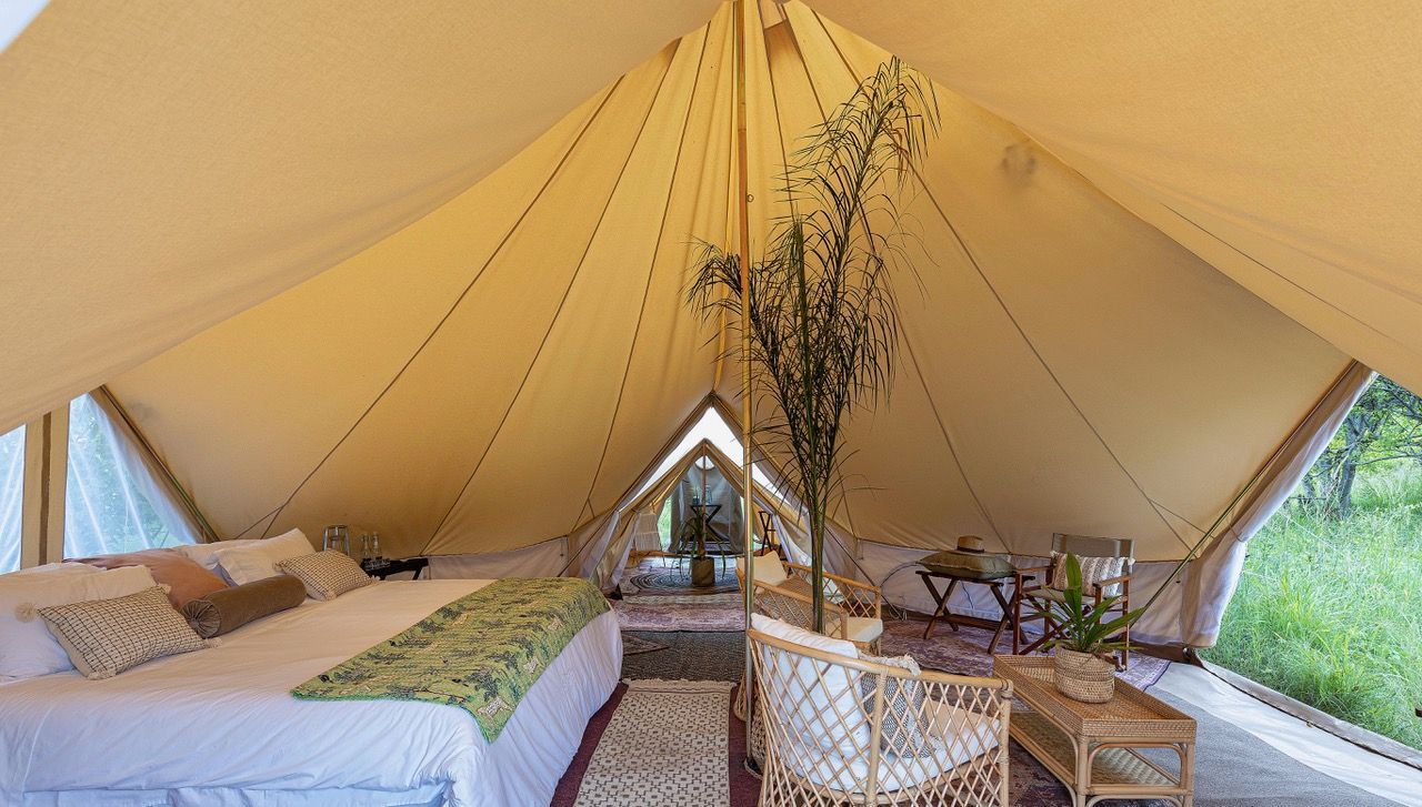 Feline Fields Vintage Camp Tent