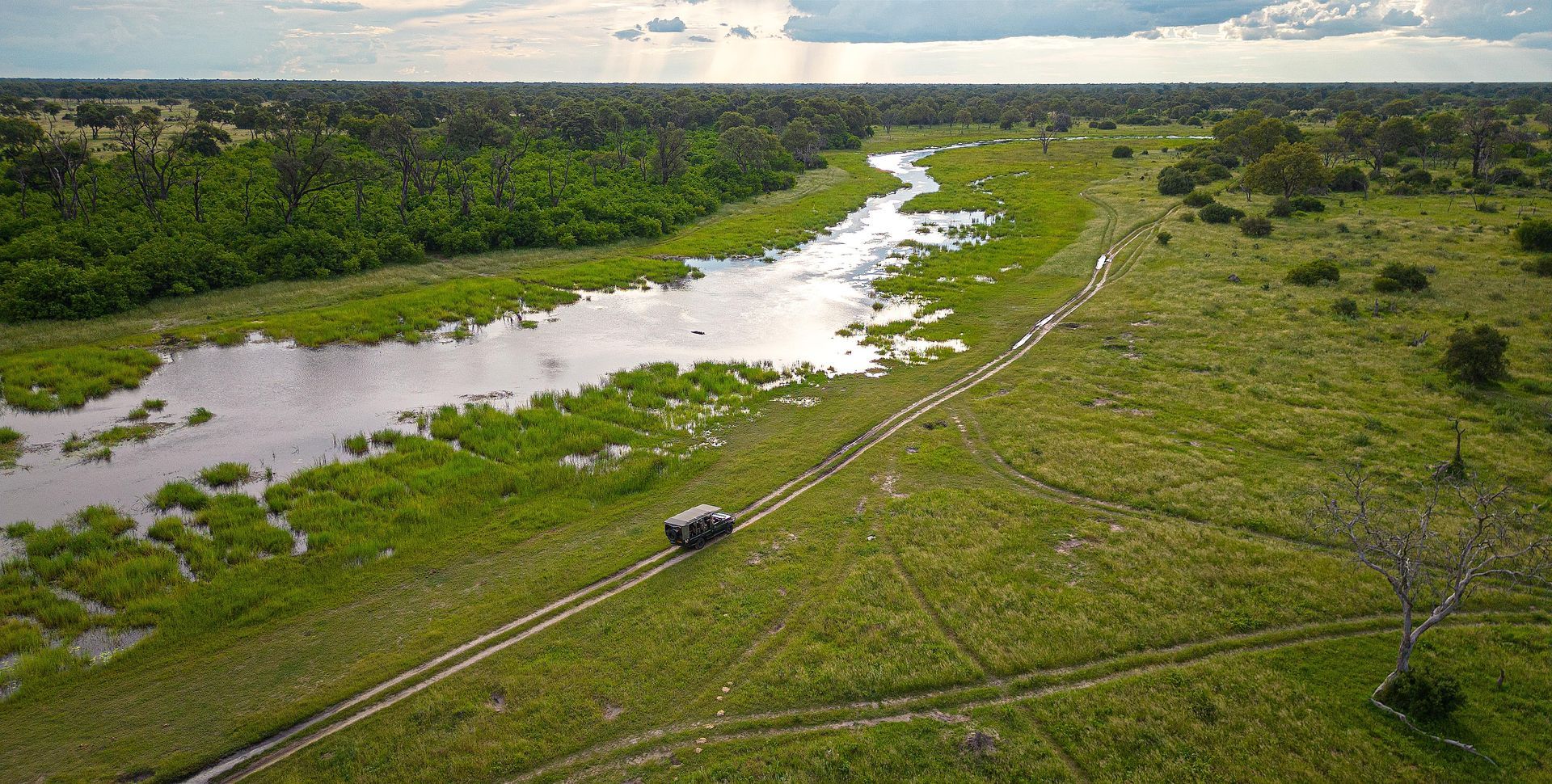 Feline Fields Okavango Delta