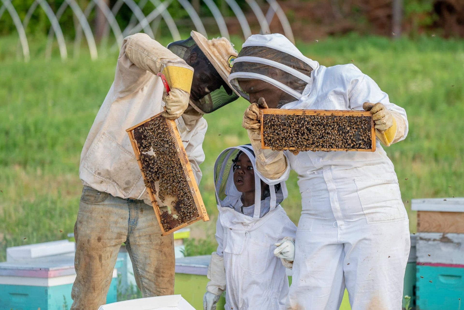 Feline Fields Lodge Community Projects