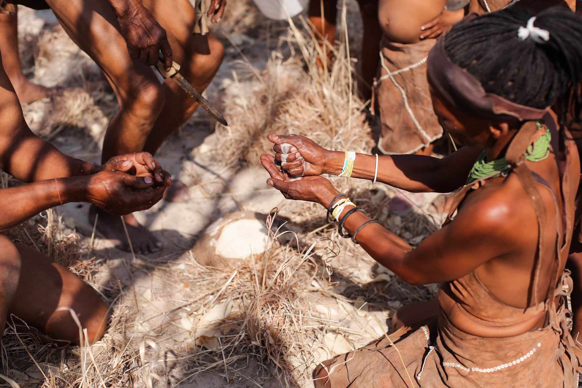 Feline Fields bushmen experience