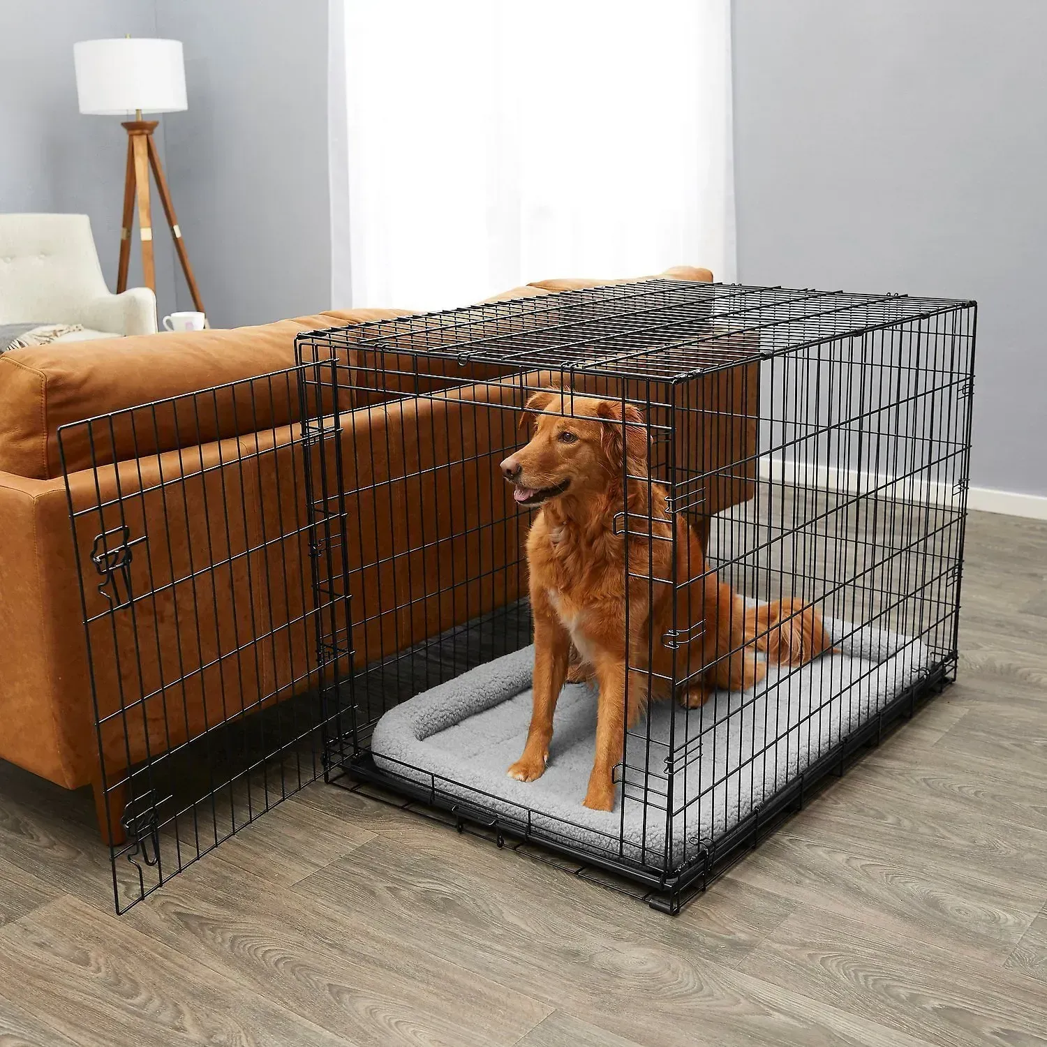 A golden-brown dog sits inside a black wire dog crate with a grey mat, placed on a wooden floor next to a brown sofa.