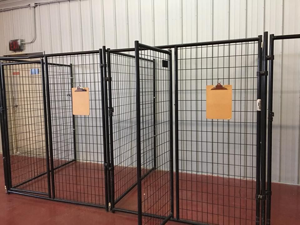 A family of four poses together at a Christmas tree farm, surrounded by evergreen trees under a soft, overcast sky. A row of black wire dog kennel enclosures with two empty clipboards hanging on the metal mesh panels.