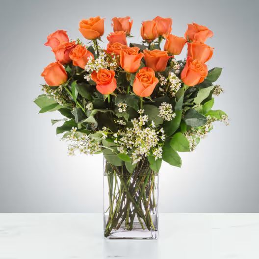 Orange Roses