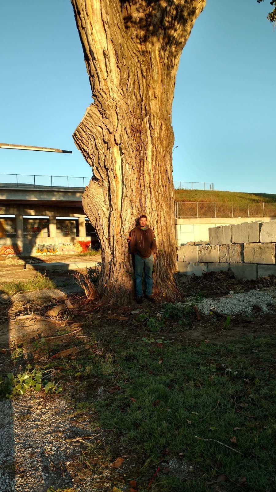 A man is standing next to a large tree in a field.