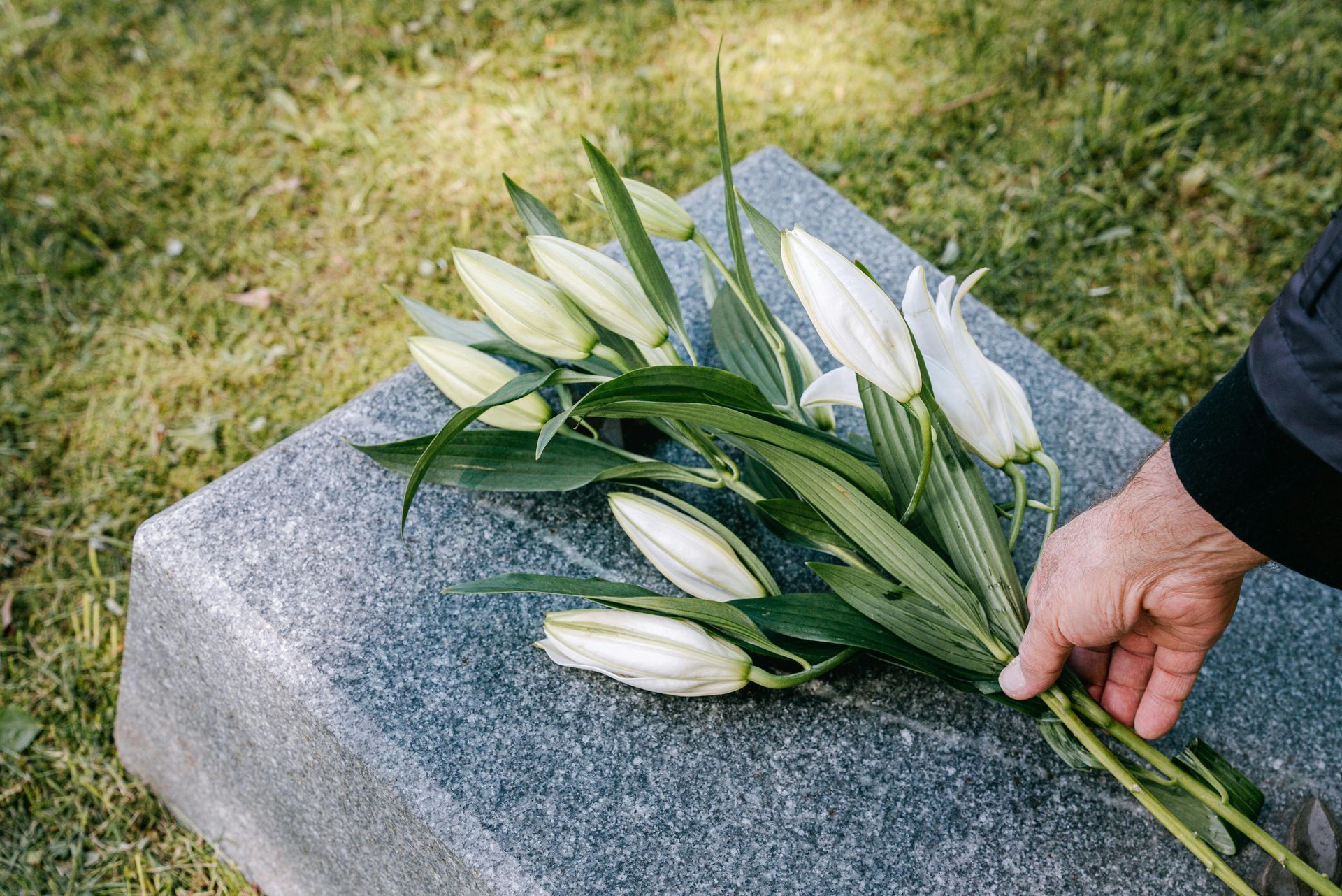 Hand placing white lilies on a gray gravestone in a grassy setting.