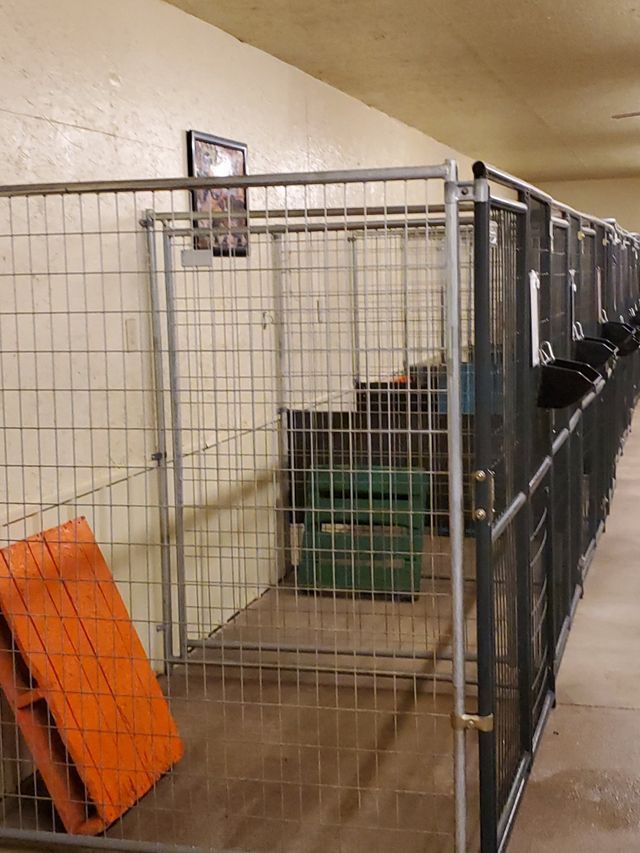 Picture of Pet Dividers | Sidney, OH | Paws & Claws Retreat