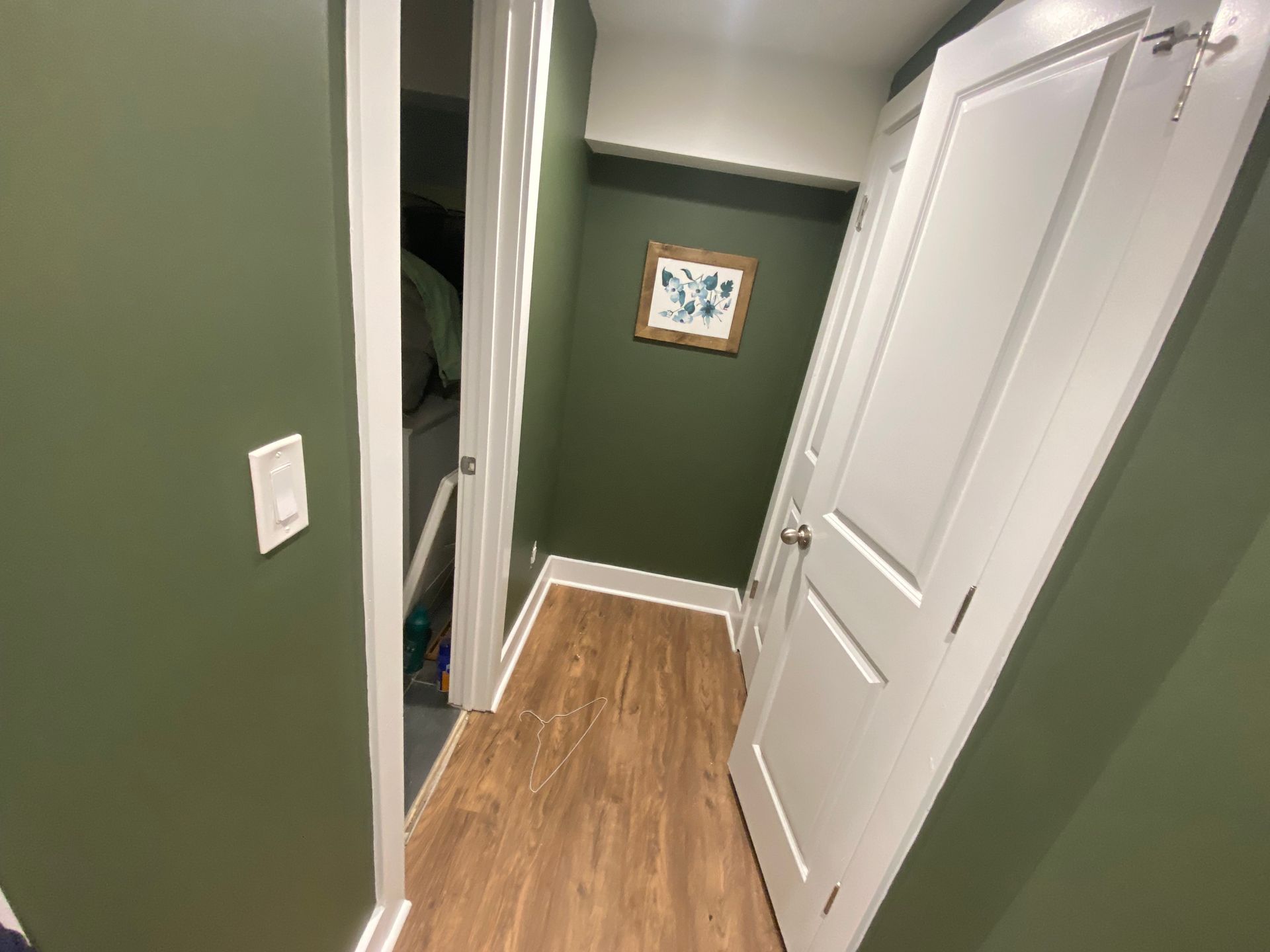 Narrow hallway with white doors, green walls, wood-look floor, and a framed picture.