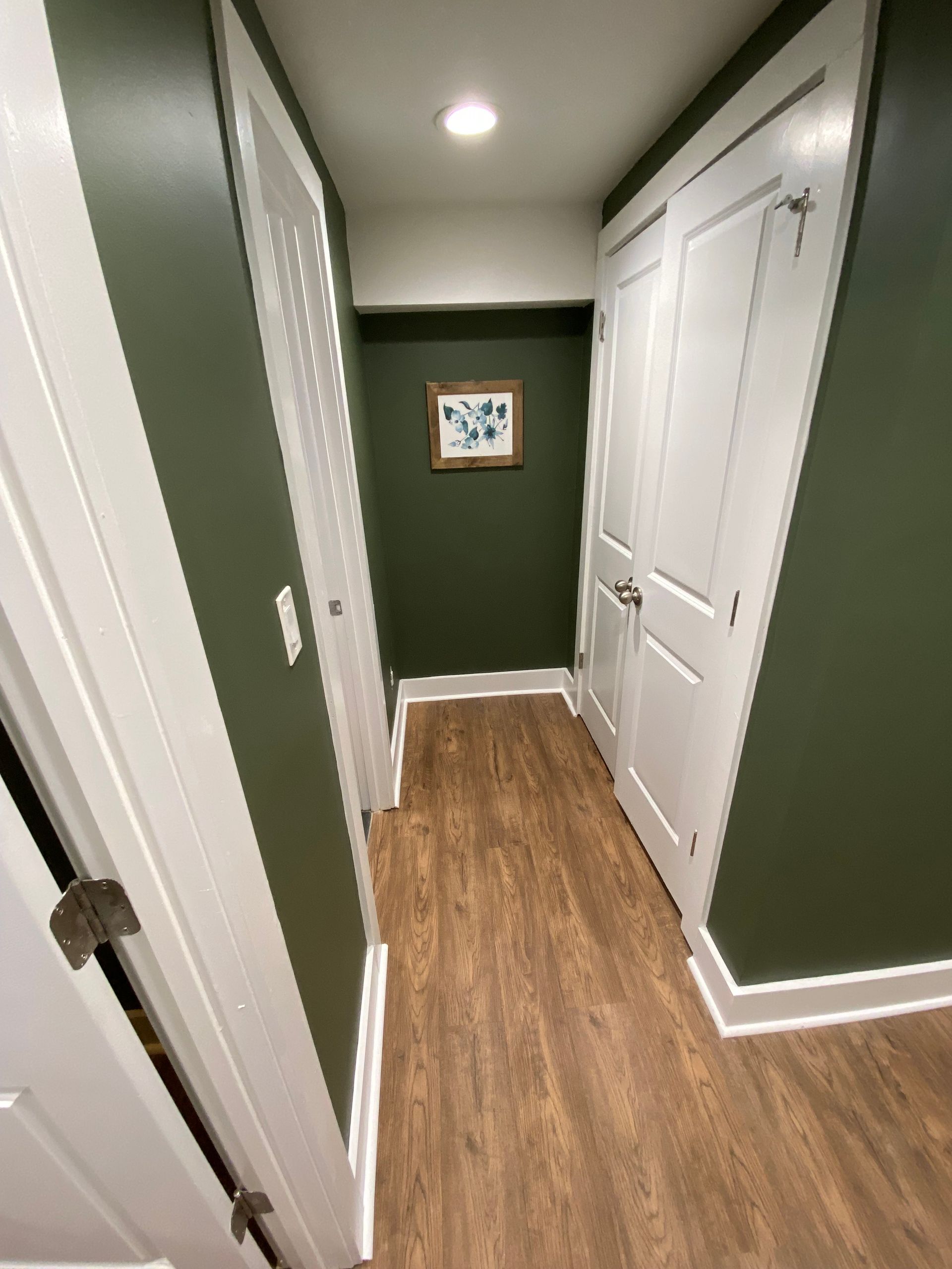 Narrow hallway with green walls, white trim, and a framed picture.