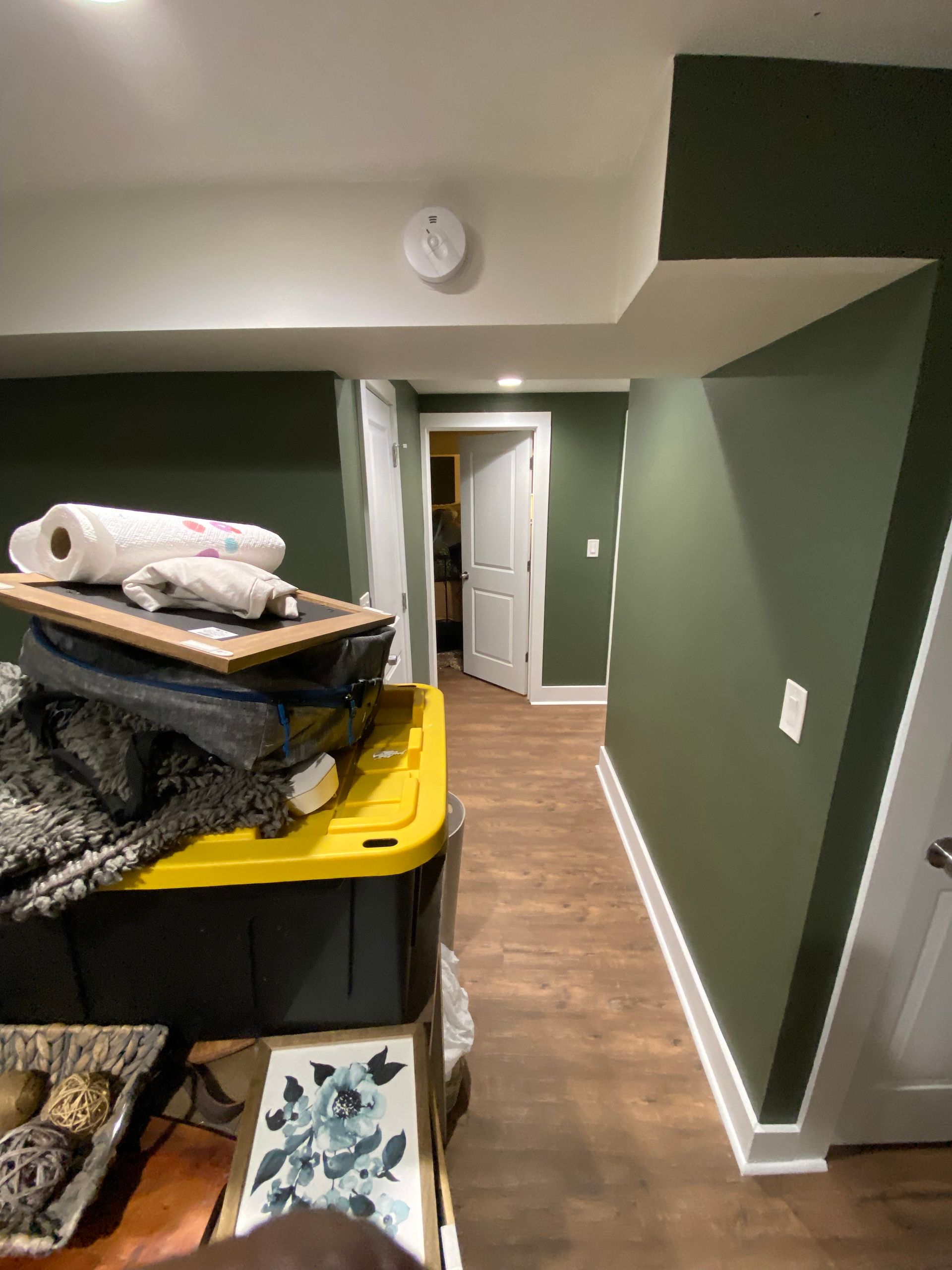 Dark green-painted hallway with white trim and flooring. A storage bin and items sit in the foreground.