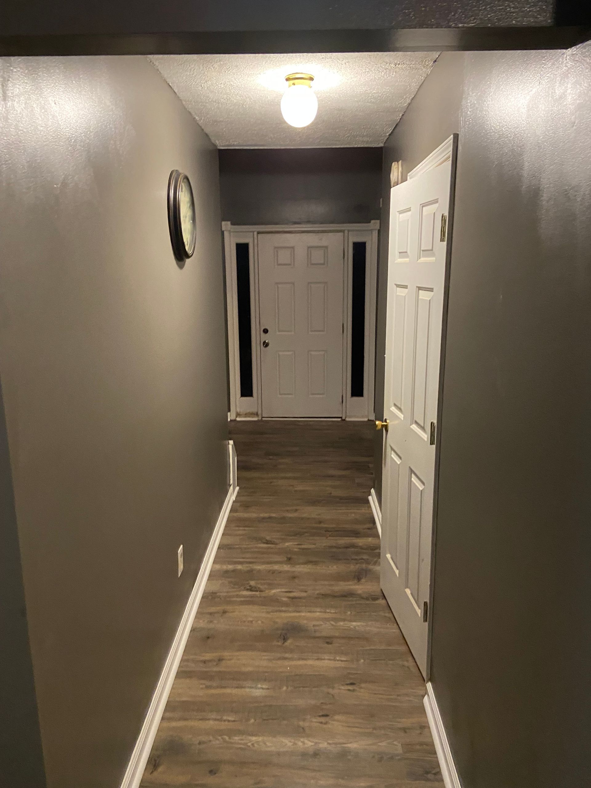Hallway with gray walls, wood-look flooring, white door, and front door at the end.