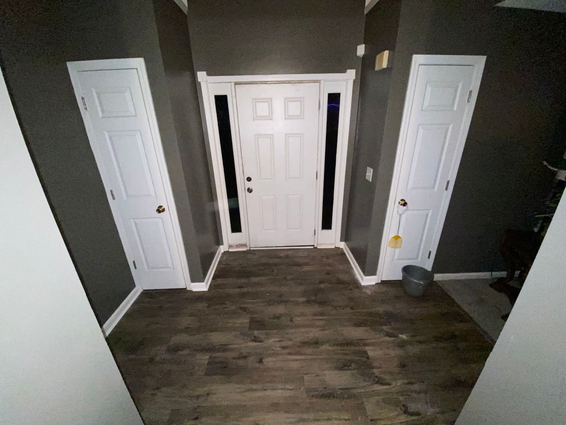 Entryway with white door and matching side doors, dark walls, and wood-look flooring.