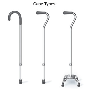 Canes Supply — Cane Type in Brooklyn, NY
