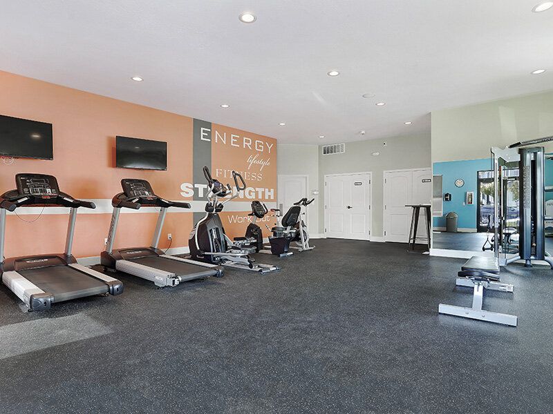 Modern community gym with treadmills, stationary bikes, and weight machines.
