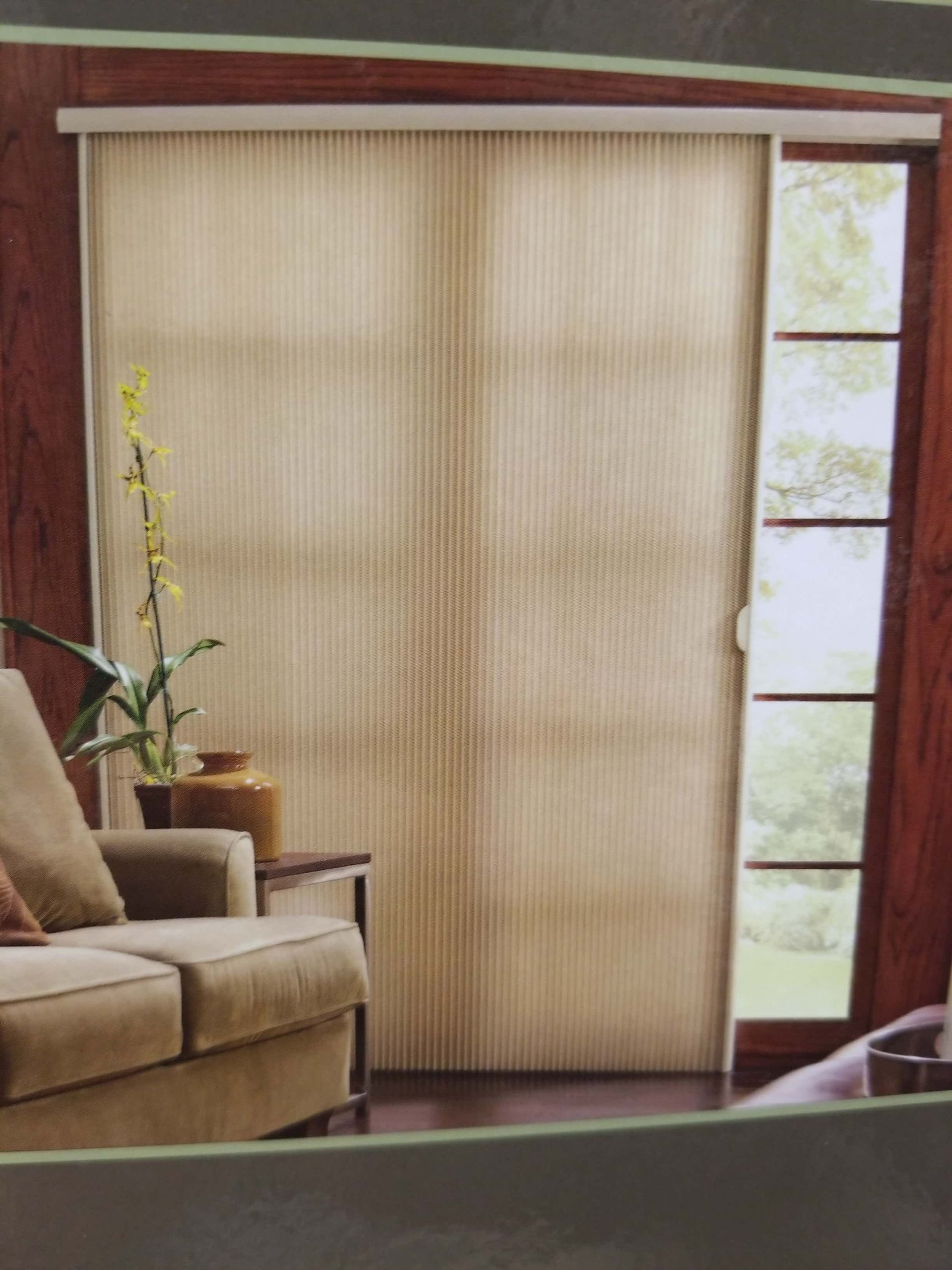 Beige cellular shades covering a sliding glass door. A tan couch, table, and plant sit nearby.