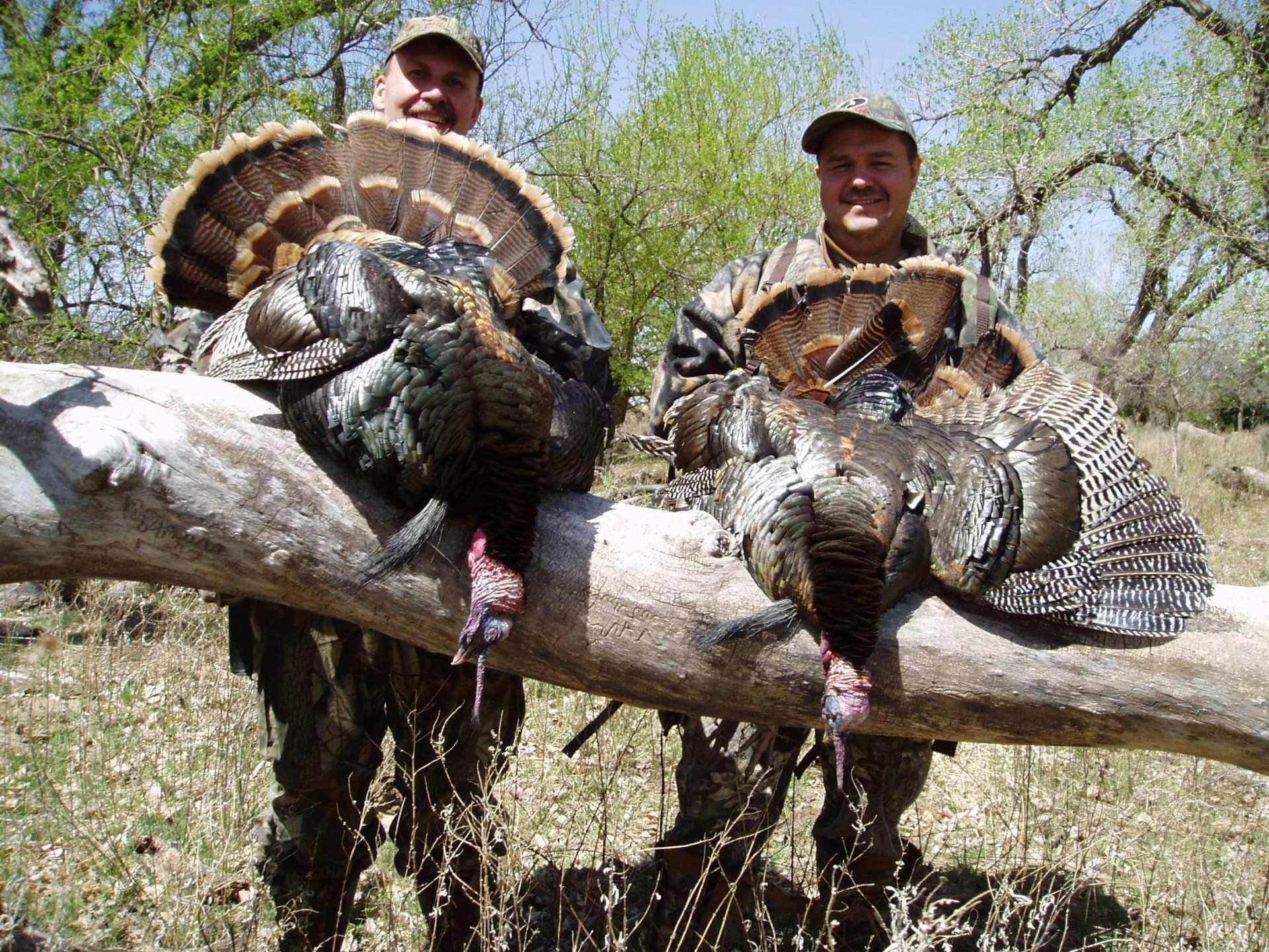 Oklahoma Turkey hunting guide, Tl Guided Hunts, Lotspeich Ranch