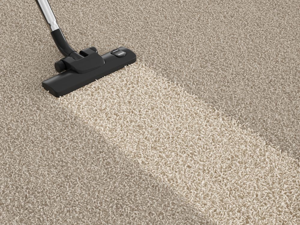 Vacuum Cleaner Cleaning a Light Beige Carpet, Showing a Clean Path — DAH Cleaning Services In Mareeba, QLD