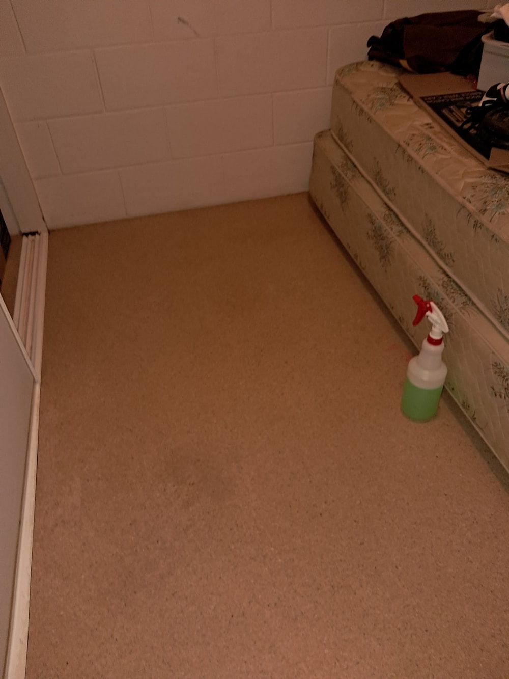 Tan Carpet in a Room With a Mattress and Spray Bottle — DAH Cleaning Services In Bungalow, QLD