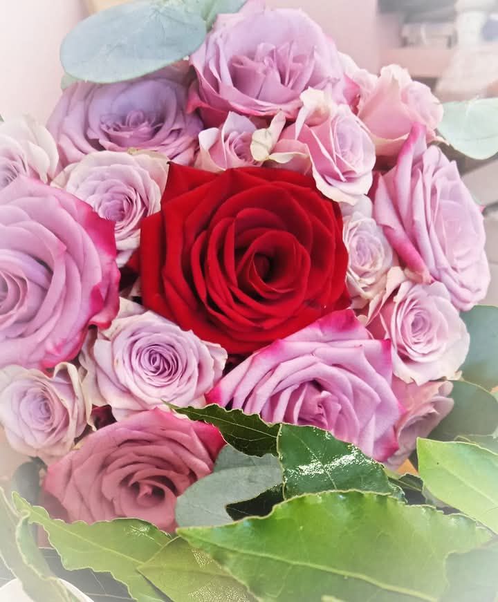 Elena fiori & dintorni