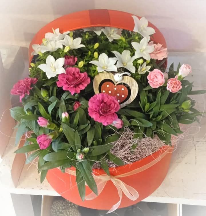 Elena fiori & dintorni