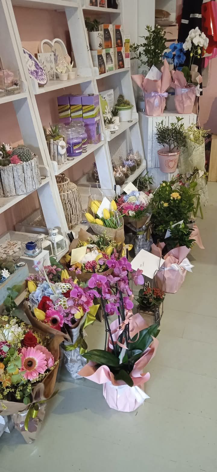 Elena fiori & dintorni