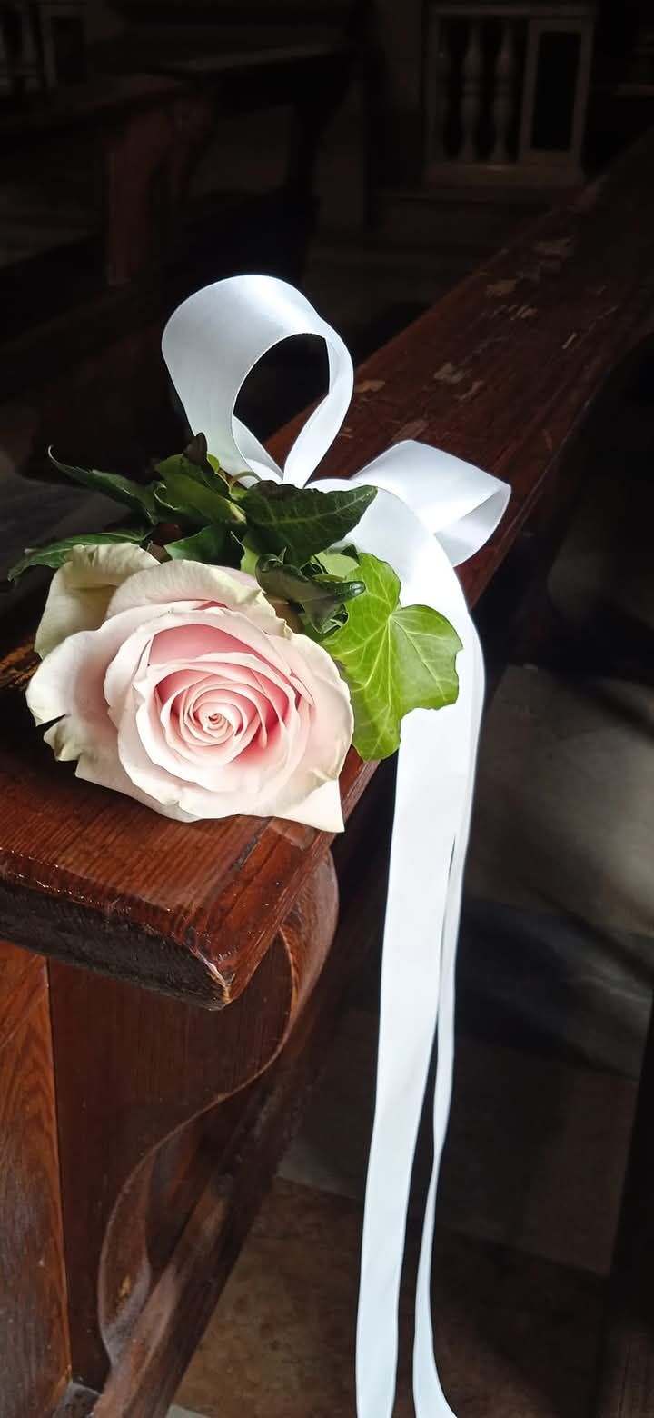 Elena fiori & dintorni