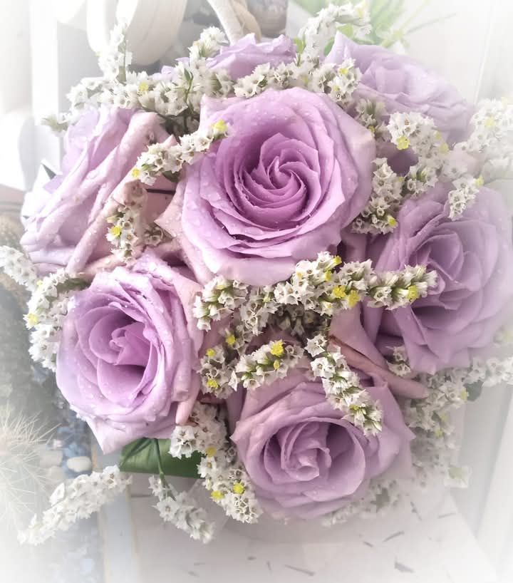 Elena fiori & dintorni