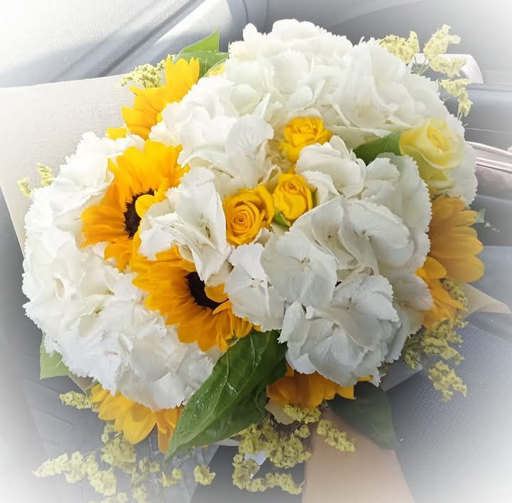 Elena fiori & dintorni