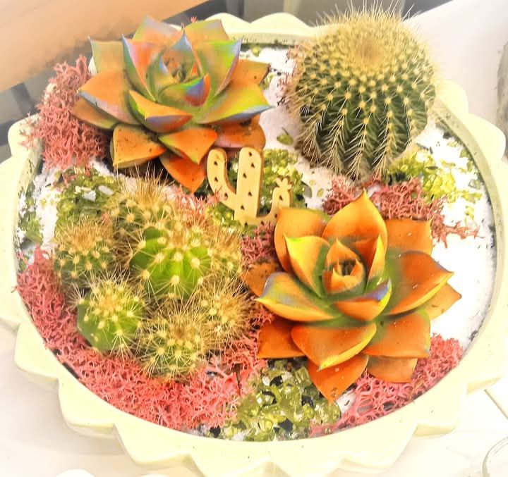 Elena fiori & dintorni