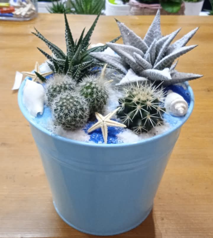 Elena fiori & dintorni