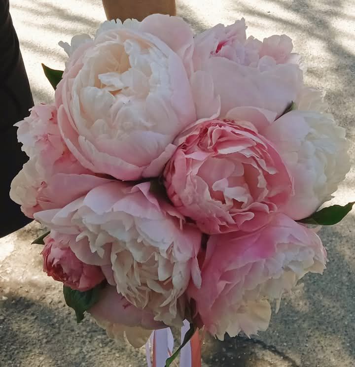 Elena fiori & dintorni