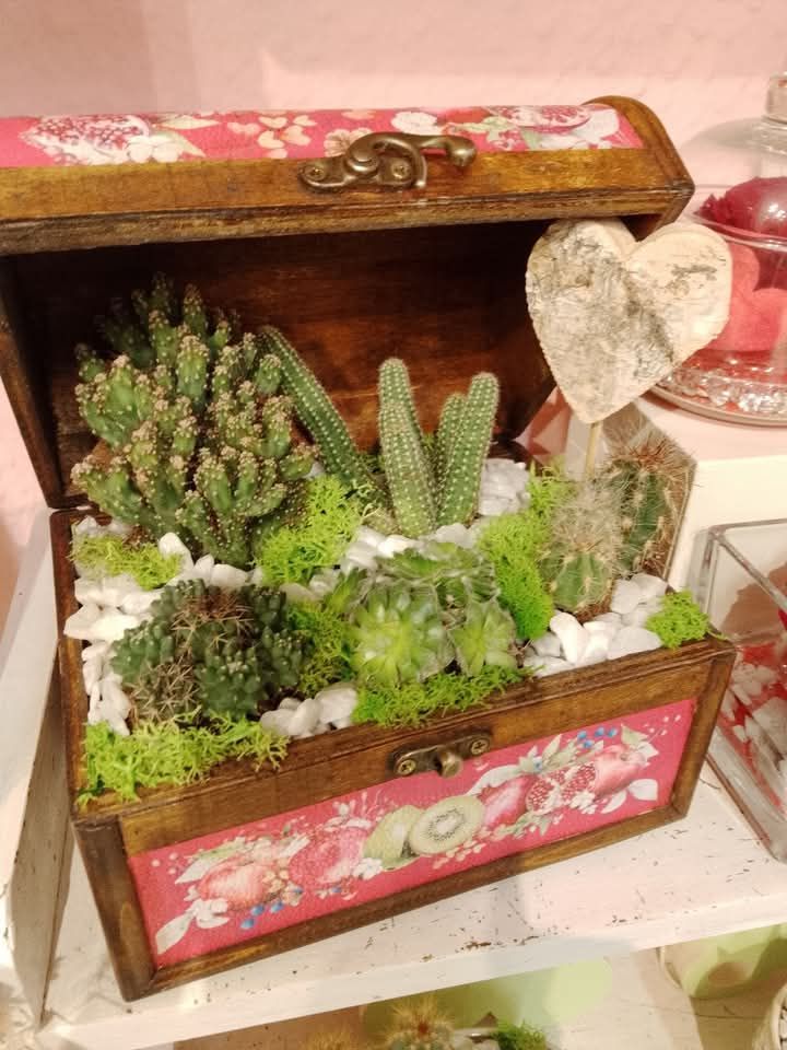 Elena fiori & dintorni