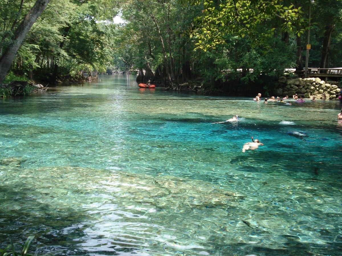 Crystal-clear spring water with swimmers off the Santa Fe River near High Springs