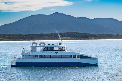Sydney Whale Watching Cruise - Best vessels in Darling Harbour