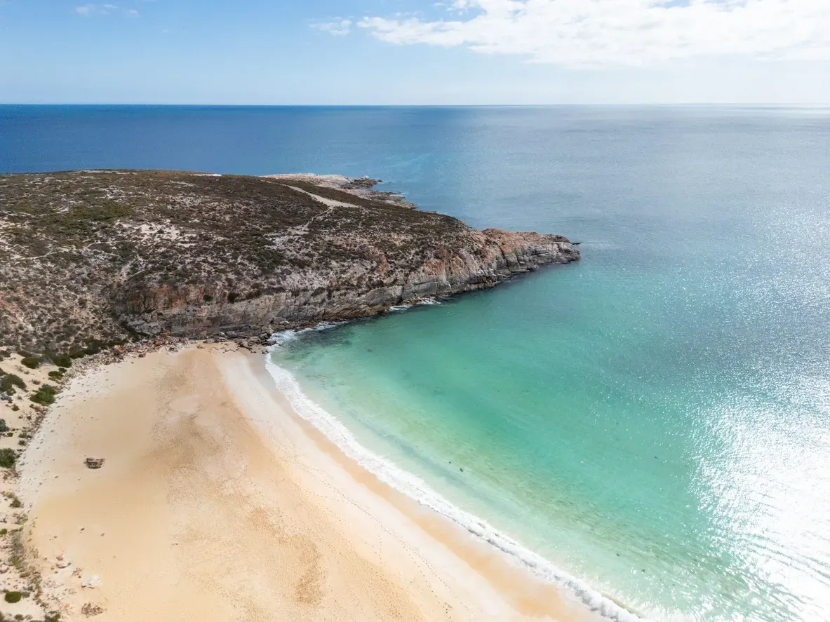 Eyre Peninsula whale watching