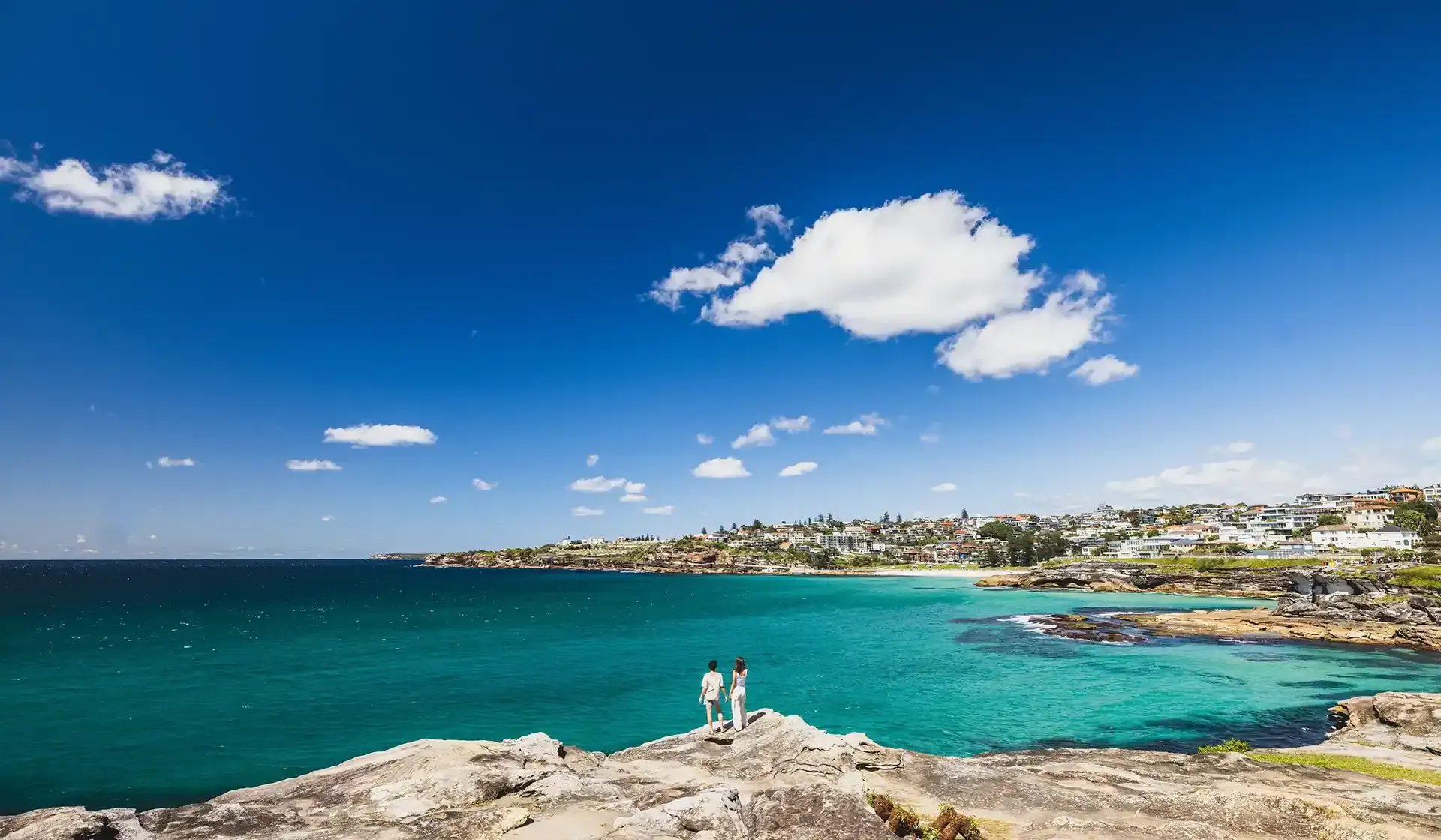 Bondi to Coogee coastal walk whale watching