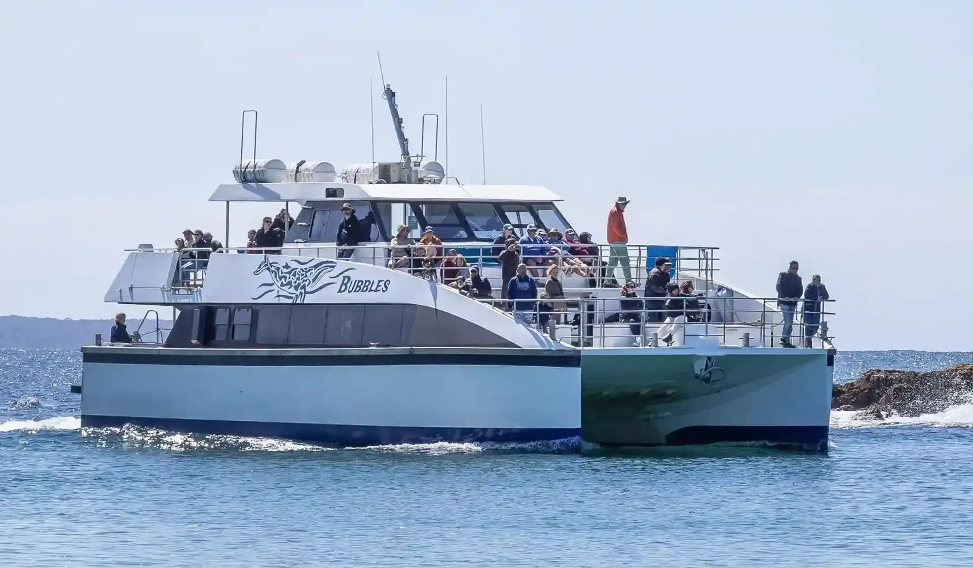 Small whale watching boat cruise in Sydney