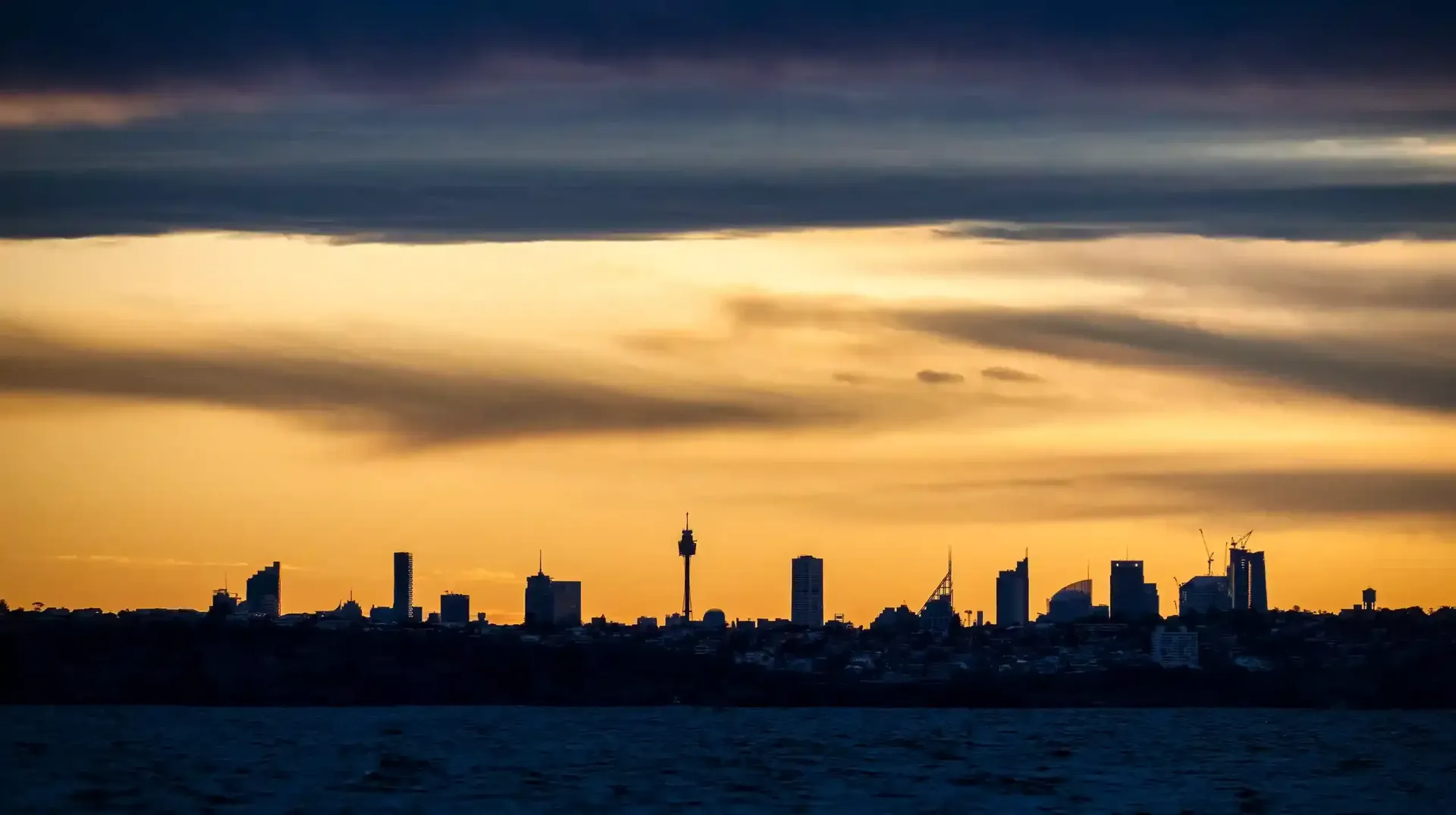 Join us for the best Whale watching tour in Sydney