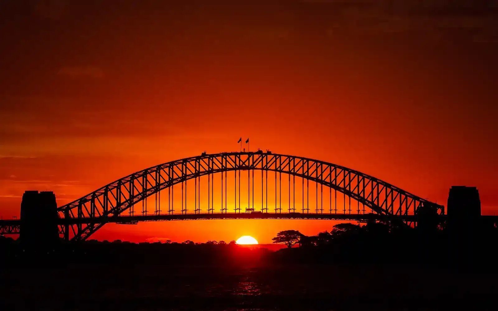 View of sun setting under Sydney Harbour Bridge from our whale watching tour boat