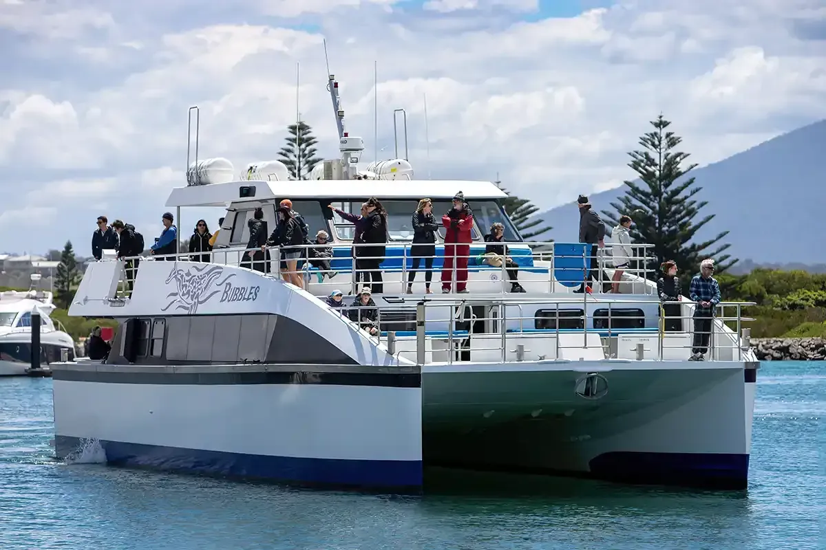 Our modern Whale Watching tour boat in Sydney NSW