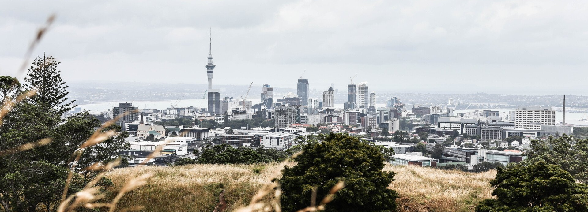 Auckland City Skyline - Plan Change 78
