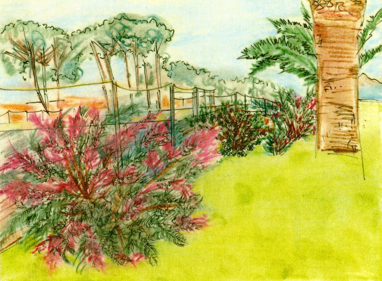 Progetto di un giardino