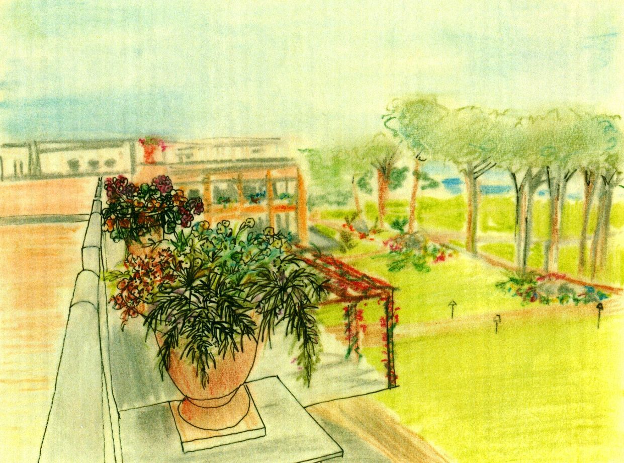 Progetto di una veranda nel giardino con piante rampicanti