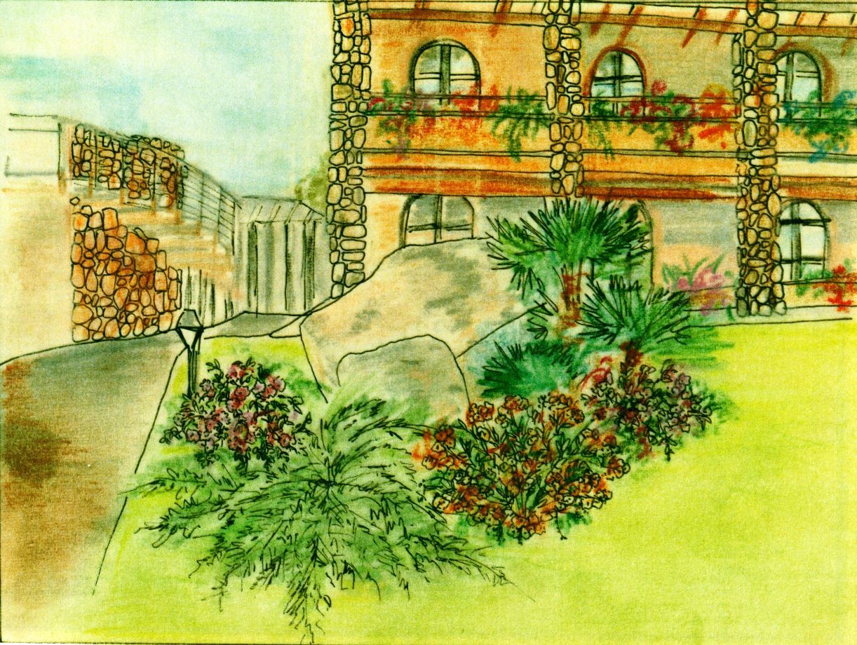 progettazione di verde con vista villa