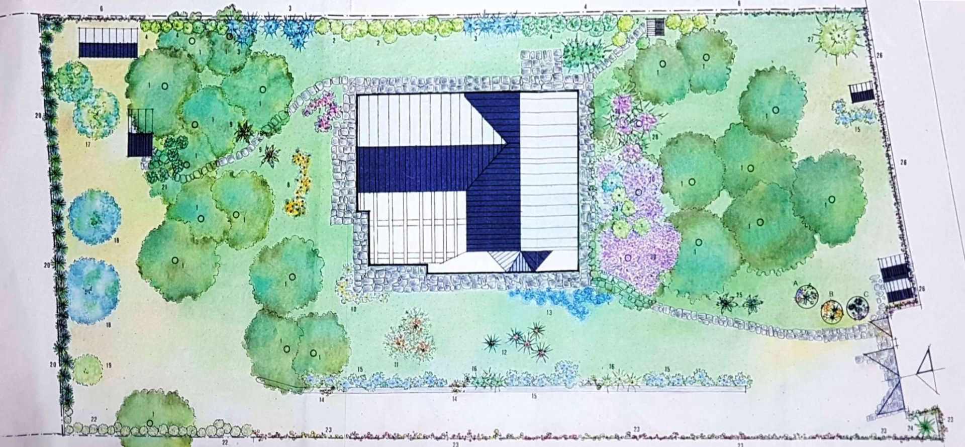 Progetto di realizzazione di un giardino con piante e fiori