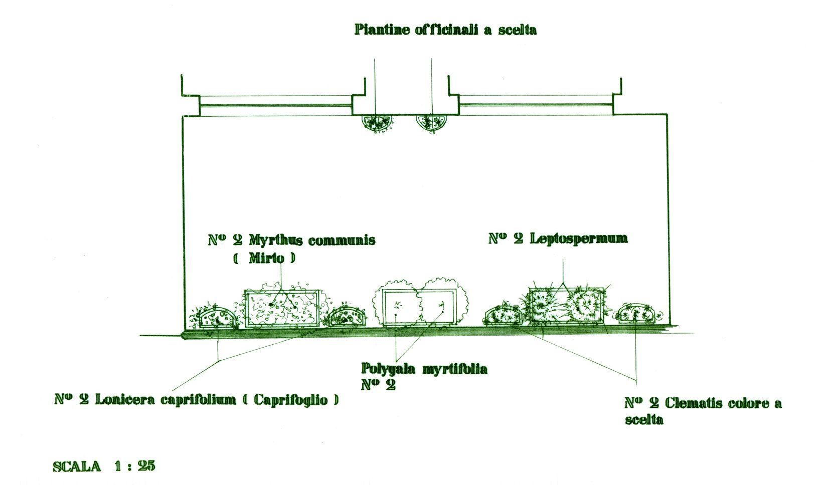 Progettazione di giardino con verande