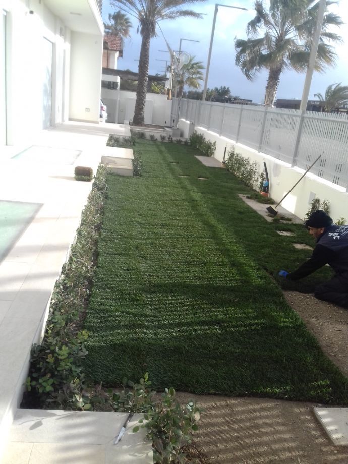 Verde adiacente la casa